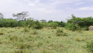 WhatsApp Image 2025-03-21 at 21.51.28 2.jpg